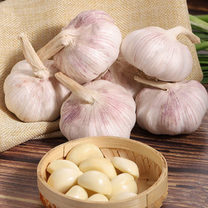 New Wholesales Chinese vacuum packed Fresh Peeled Garlic  1kg price