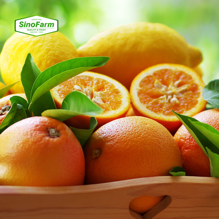 Sweet Tasty Orange Delicious Premium Quality Juicy Tangerine 100% Natural Fresh Orange From Chinese Farms