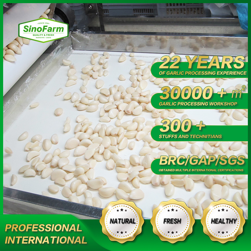 Sinofarm brand 2021 new crop vacuum frozen packed peeled garlic fresh for wholesale price per ton with cartons