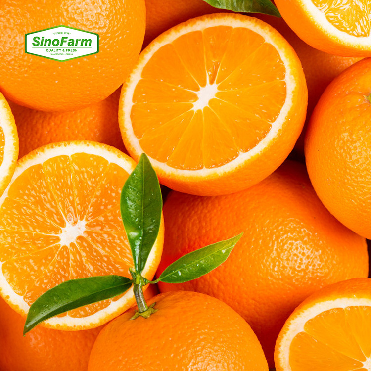 Wholesale Delicious Sweet Fresh Citrus Fruit Fresh Oranges Red Citrus Red Orange For Sale