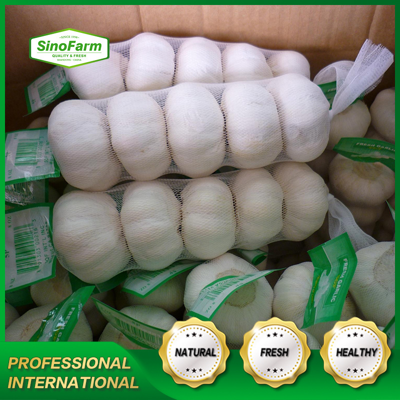 New arrival fresh pure white garlic ali alho supply from China Sinofarm garlic manufacturers