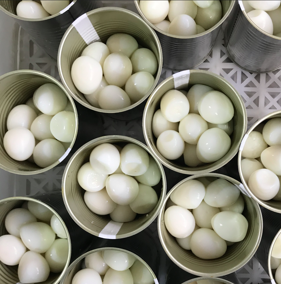 Chinese Canned boiled Quail Eggs Price from Quail Farm