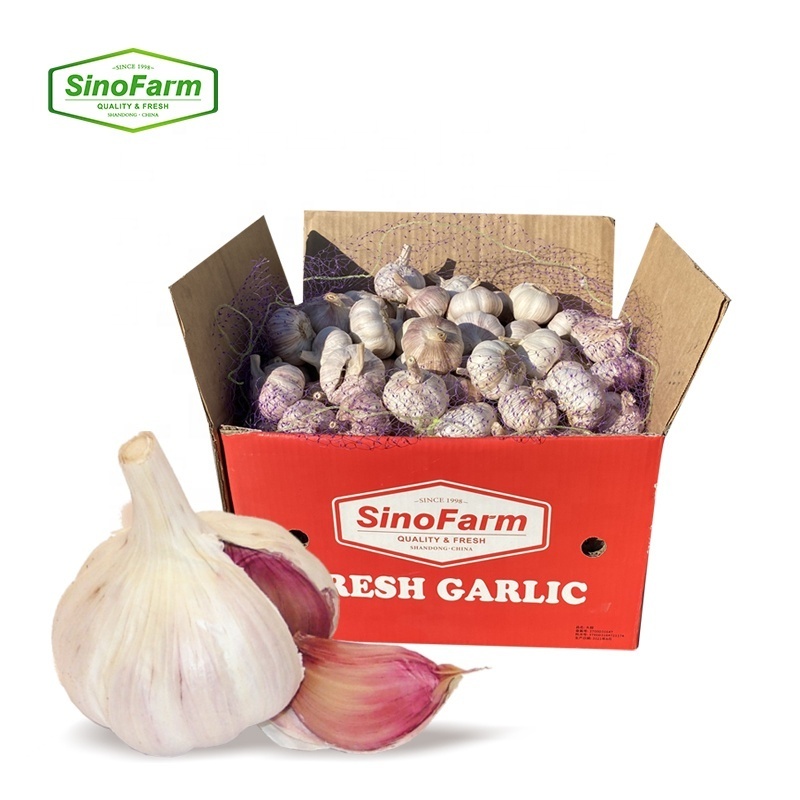 Import Chinese Garlic Jining Garlic Direct Supplier 3p 4p 5p Mesh Bag Packed