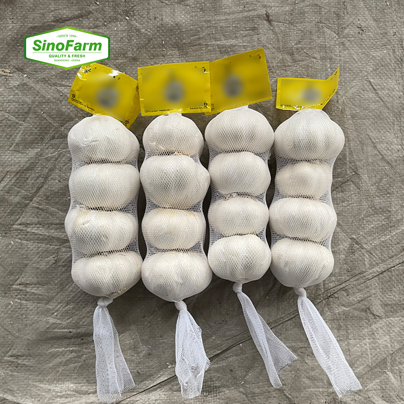 new crop fresh garlic normal white and pure white garlic for sale with garlic price in China