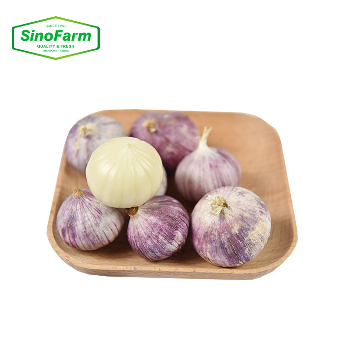 3p Chinese Garlic Price Wholesale Buy in Bulk Fresh New Crop