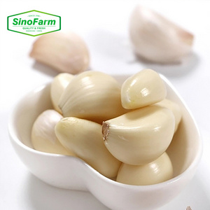 Fresh peeled garlic clove 2022 new crop supply from professional peeled garlic manufacturer in China