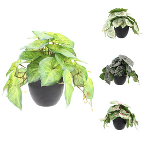 Hot Selling Wholesale Faux Tropical Plants Artificial Plant for Indoor Outdoor Decoration Potted Artificial Caladium Plants