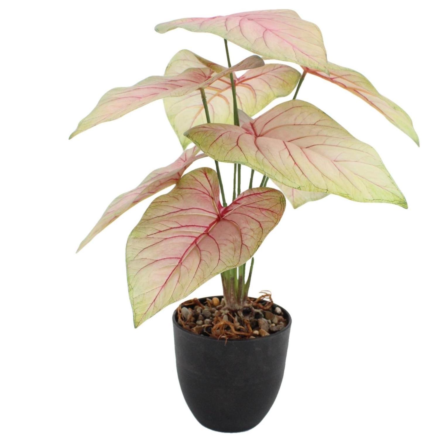 Wholesale Home Decor Bonsai Variegated Leaves PEVA Tropical Alocasia Syngonium Caladium Artificial Plants Bonsai Potted Plant