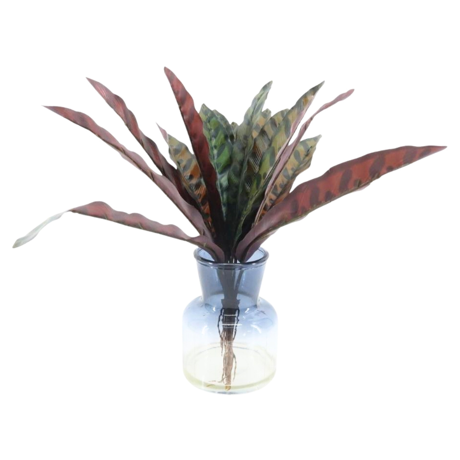 New Design Lifelike Artificial Plants Fixed in Vase with Resin Water Calathea Faux Tropical Plants Peacock Artificial Plant