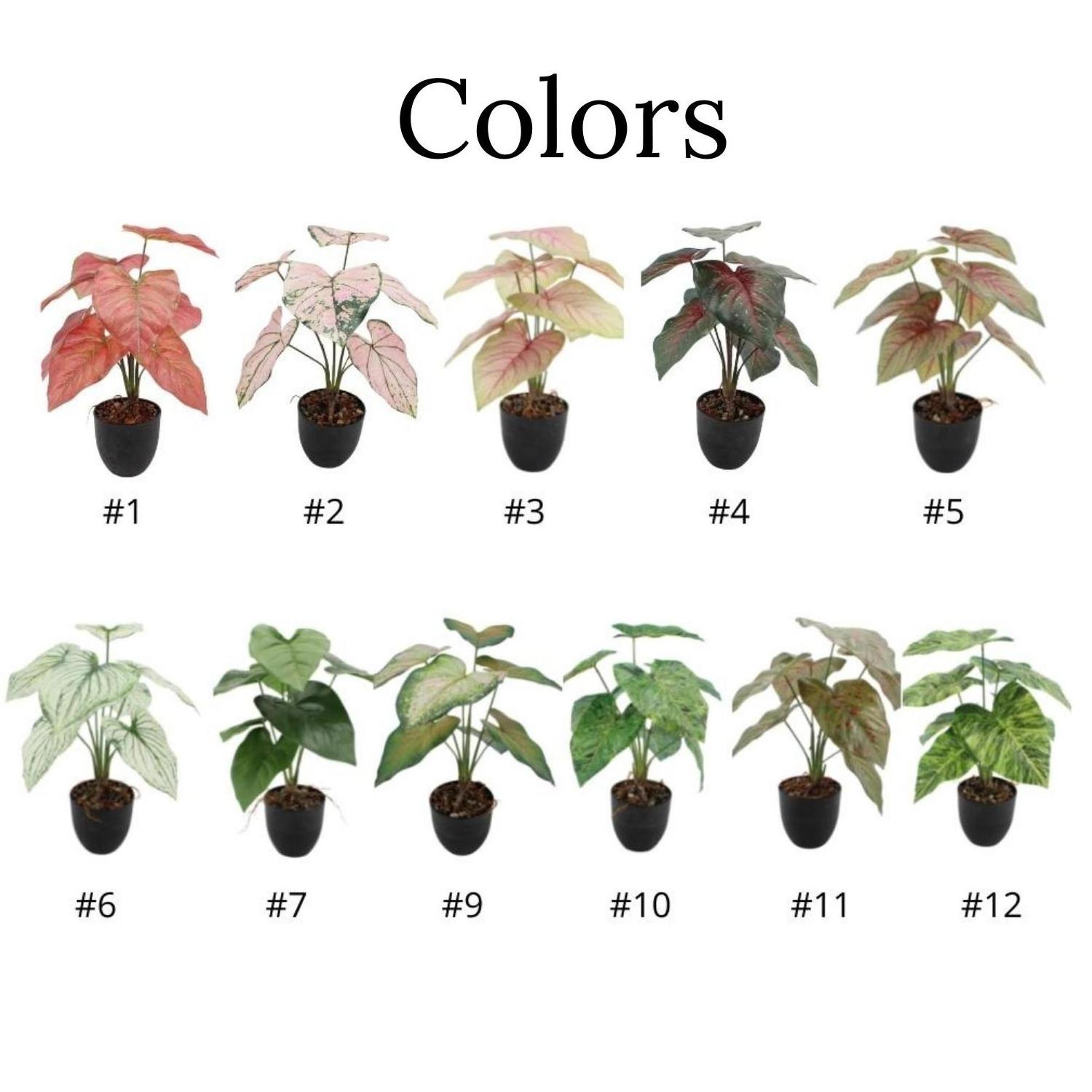 Wholesale Home Decor Bonsai Variegated Leaves PEVA Tropical Alocasia Syngonium Caladium Artificial Plants Bonsai Potted Plant