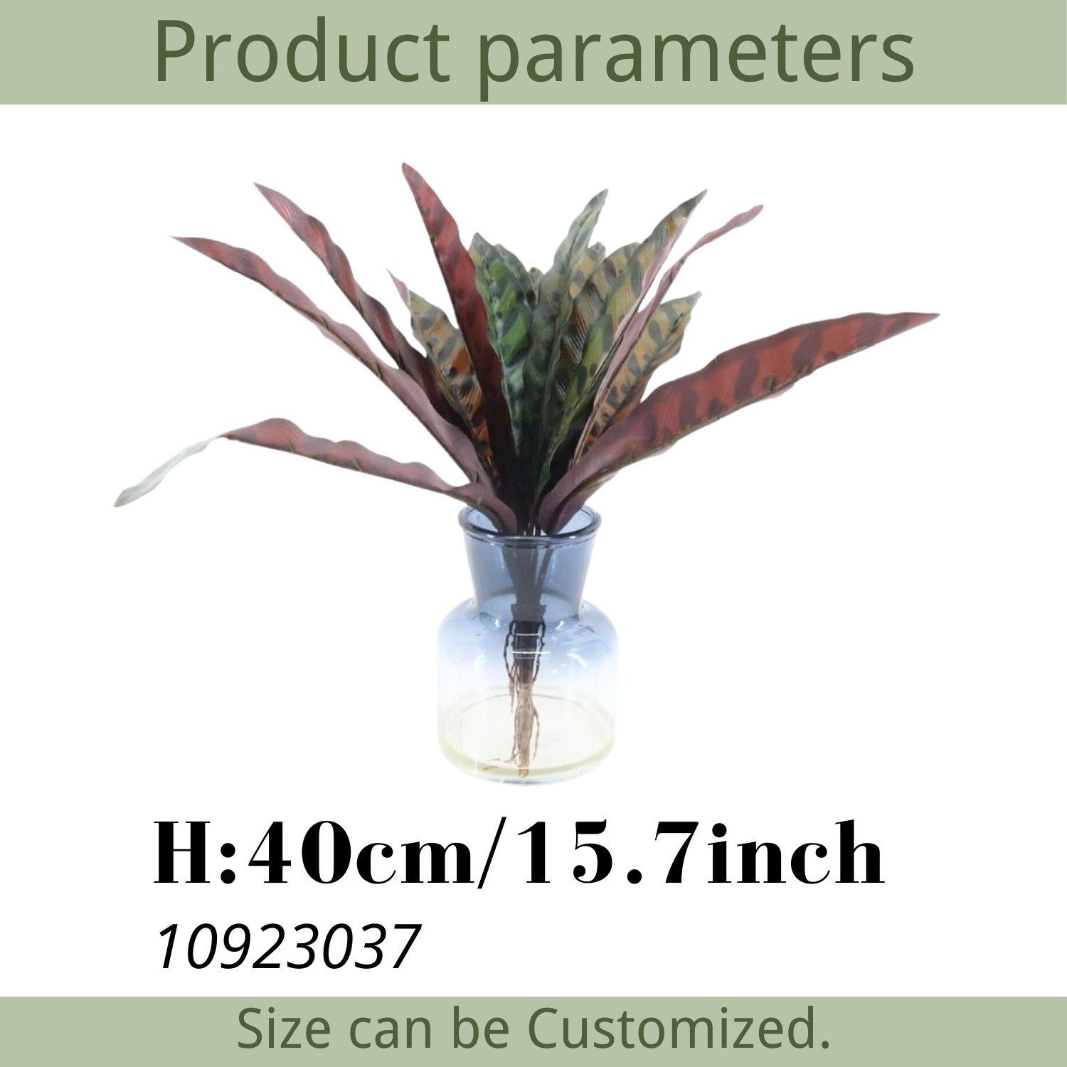 New Design Lifelike Artificial Plants Fixed in Vase with Resin Water Calathea Faux Tropical Plants Peacock Artificial Plant