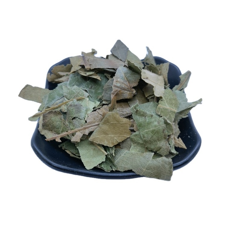 Pi Pa Ye Hot Sale Chinese Natural Dried Loquat Leaves Tea Eriobotrya Japonica Leaf Herbal Tea