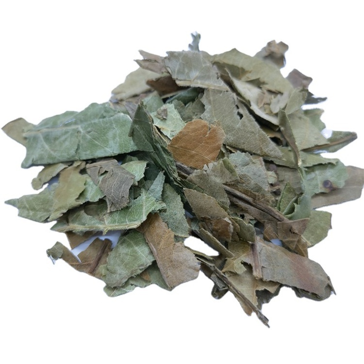 Pi Pa Ye Hot Sale Chinese Natural Dried Loquat Leaves Tea Eriobotrya Japonica Leaf Herbal Tea