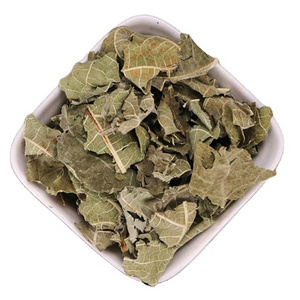 Wu hua guo ye Wholesale Natural Dried Raw Fig Leaves Chinese Organic Herb Fig Leaf Tea