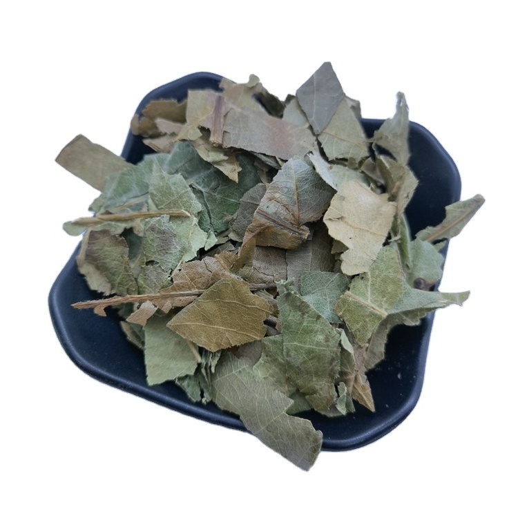 Pi Pa Ye Hot Sale Chinese Natural Dried Loquat Leaves Tea Eriobotrya Japonica Leaf Herbal Tea