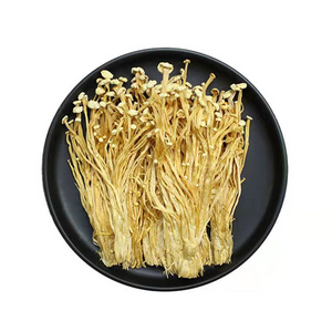 Wholesale high quality dried needle mushroom enoki mushroom price