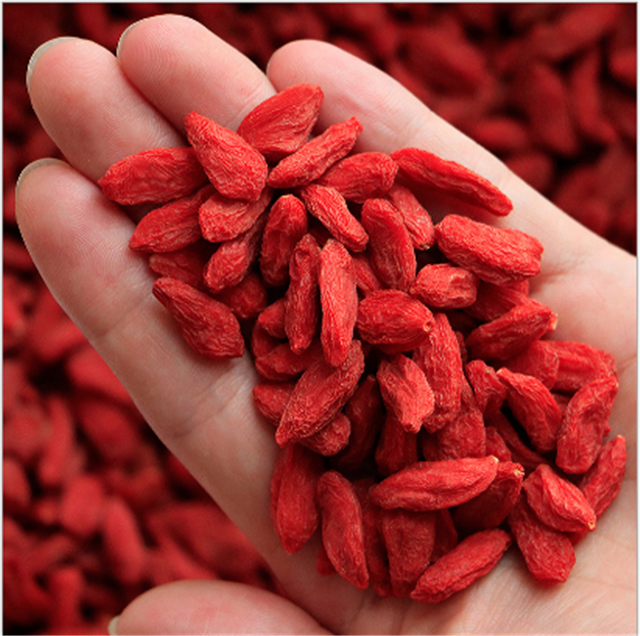 Go qi 100% Natural Organic Chinese Wolfberry Matrimony Vine Fresh Dried Red Goji berry