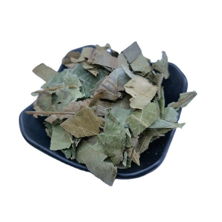 Pi Pa Ye Hot Sale Chinese Natural Dried Loquat Leaves Tea Eriobotrya Japonica Leaf Herbal Tea