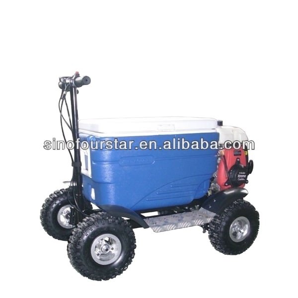 49cc Mini Gas Cooler Scooter