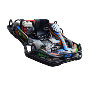 Professional Gasoline Adult Play Go Kart Gas Powered Off Road Racing 4x4 Go Karts