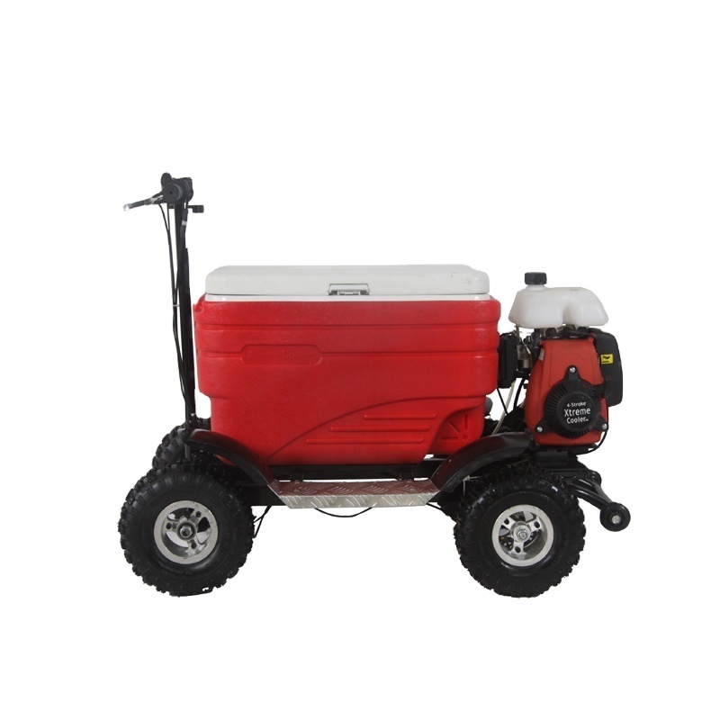 Fourstar Gasoline Cooler Beer BBQ Adult Scooter