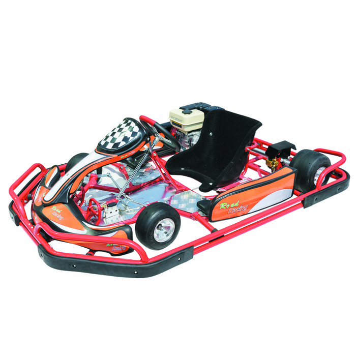 Cheap Go kart Lifan 200cc Engine Racing Gas Powered Racing with Bumper and Cover SX-G1101