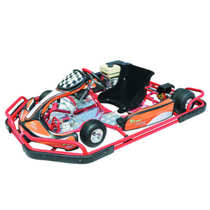 Cheap Go kart Lifan 200cc Engine Racing Gas Powered Racing with Bumper and Cover SX-G1101