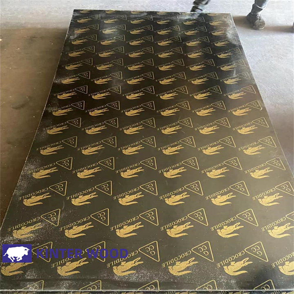 Hot sale 1220x2440mm size phenolic board crocodile 9mm for construction plywood used to Philippines