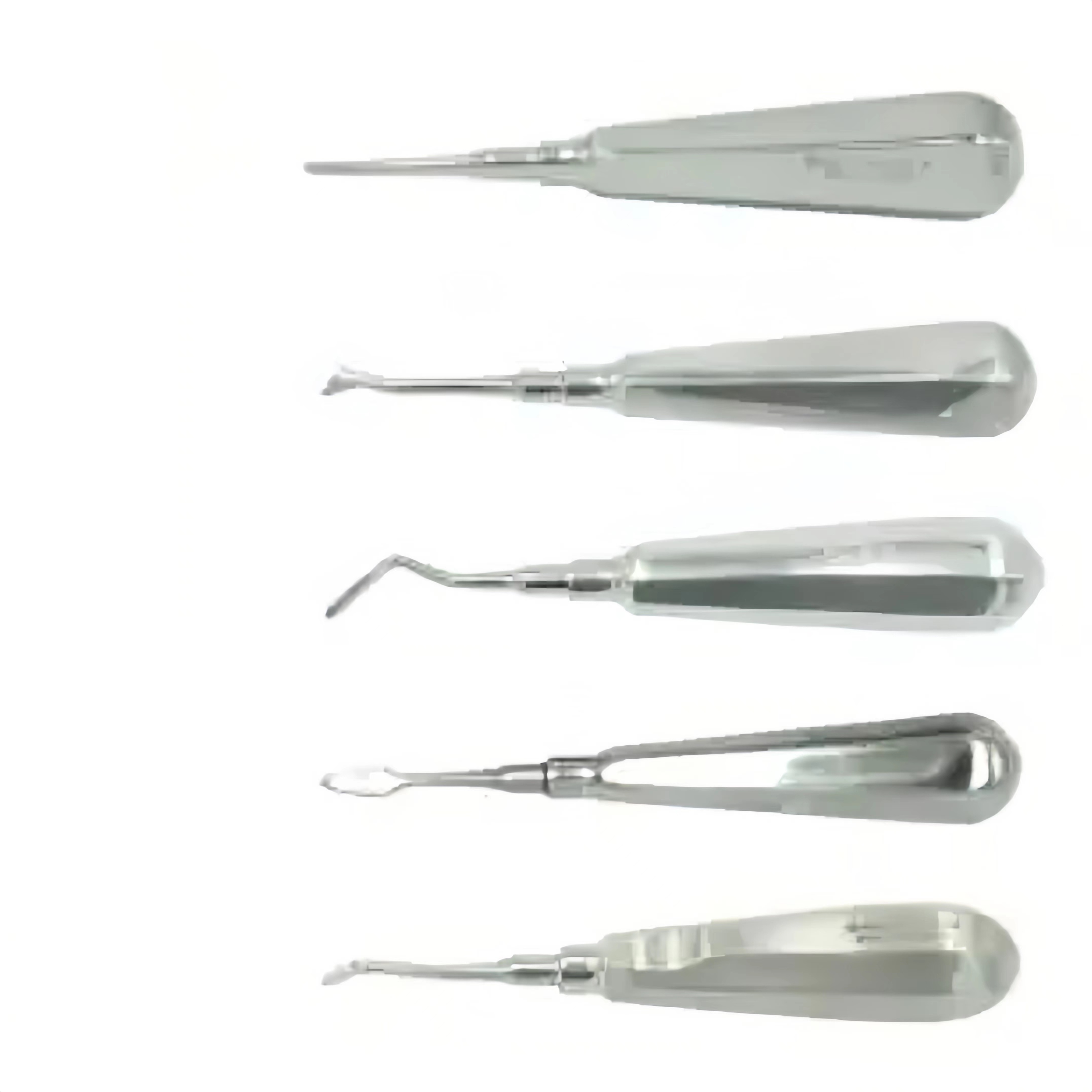 Dental root elevators dental clinic surgical instrument stainless steel curved and straight root elevators