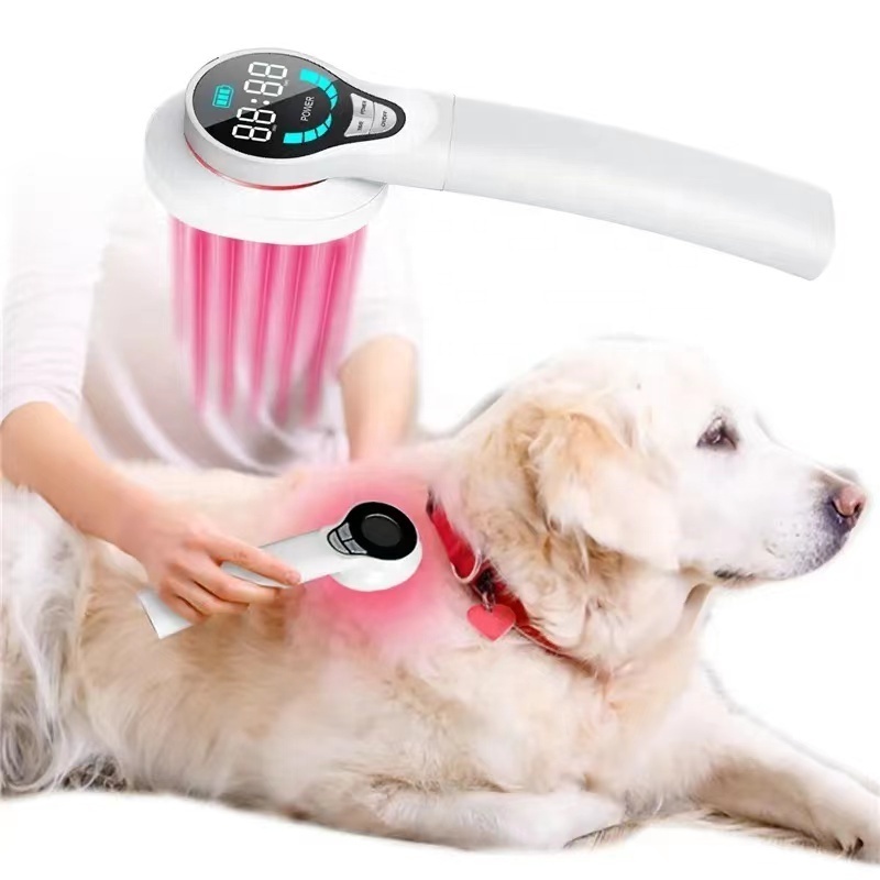 Affordable 808nm Cold Laser Therapy Animals Wound Healing Dogs Cats Veterinary Equipment Home Use Physiotherapy