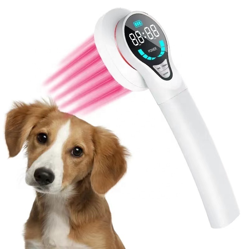 Affordable 808nm Cold Laser Therapy Animals Wound Healing Dogs Cats Veterinary Equipment Home Use Physiotherapy