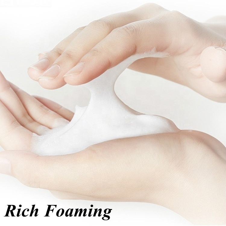 Custom brand fragrance foam hand wash tablet effervescent hand soap cleaning tablets