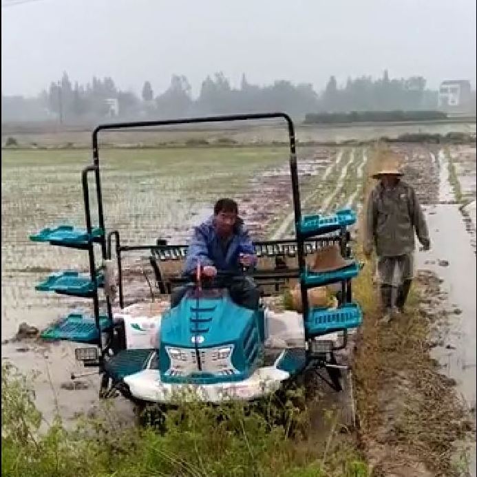 Changlin Diesel Engine High Speed 6 Rows Riding Rice Paddy Field Planting Machine