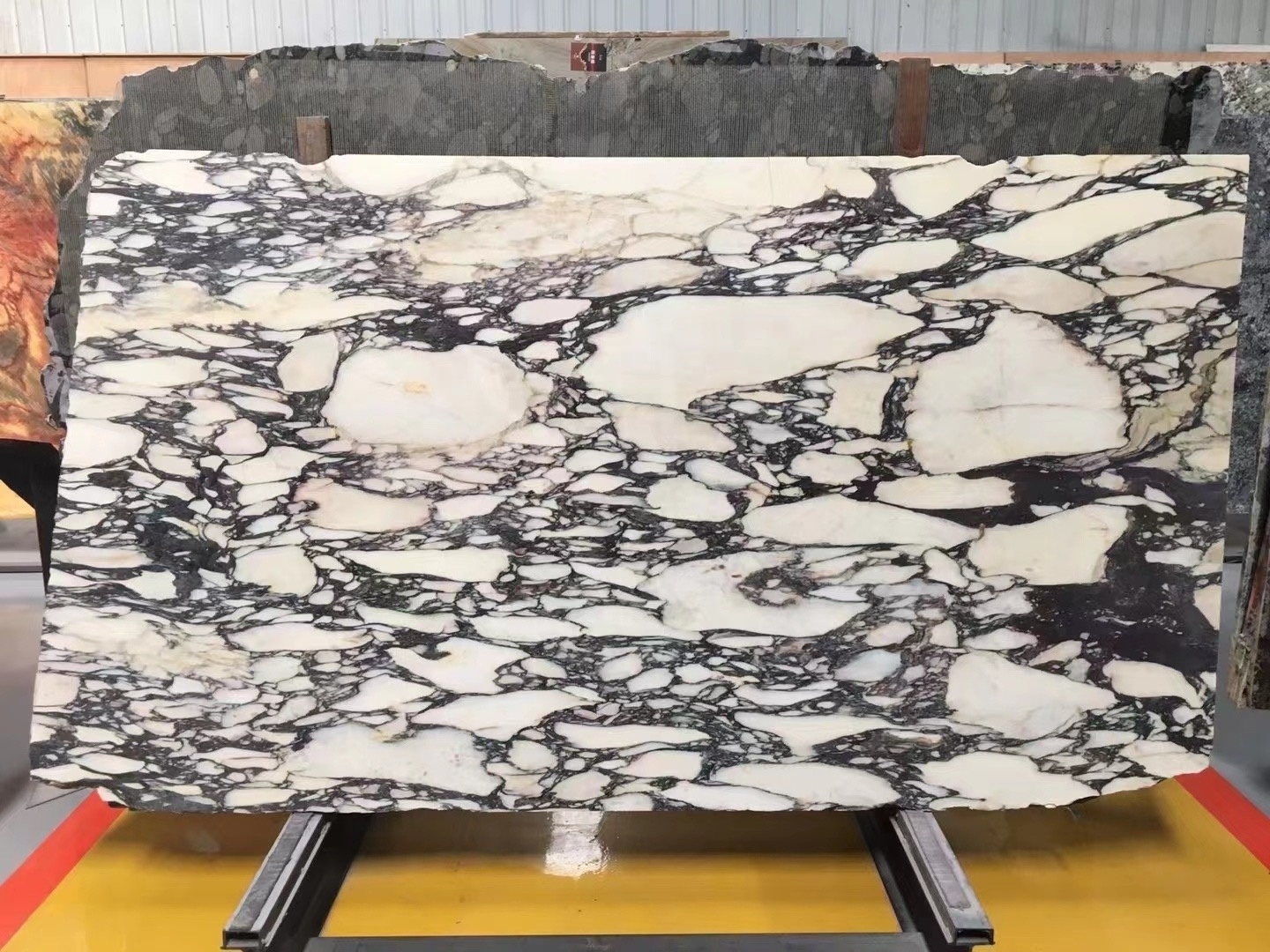 Calacatta viola white marble violet slabs with purple veins