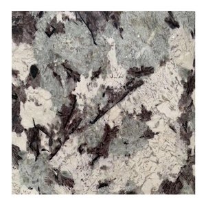 Snow moutain blue granite Van gogh granite slabs customize for countertops