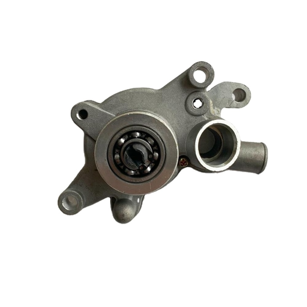 Water Pump for ATV300 UTV300 260 300cc Quad 300 Bu Yang Feishen LINHAI Buggy, Xinyang  Xingyue Go Kart Spare Parts.