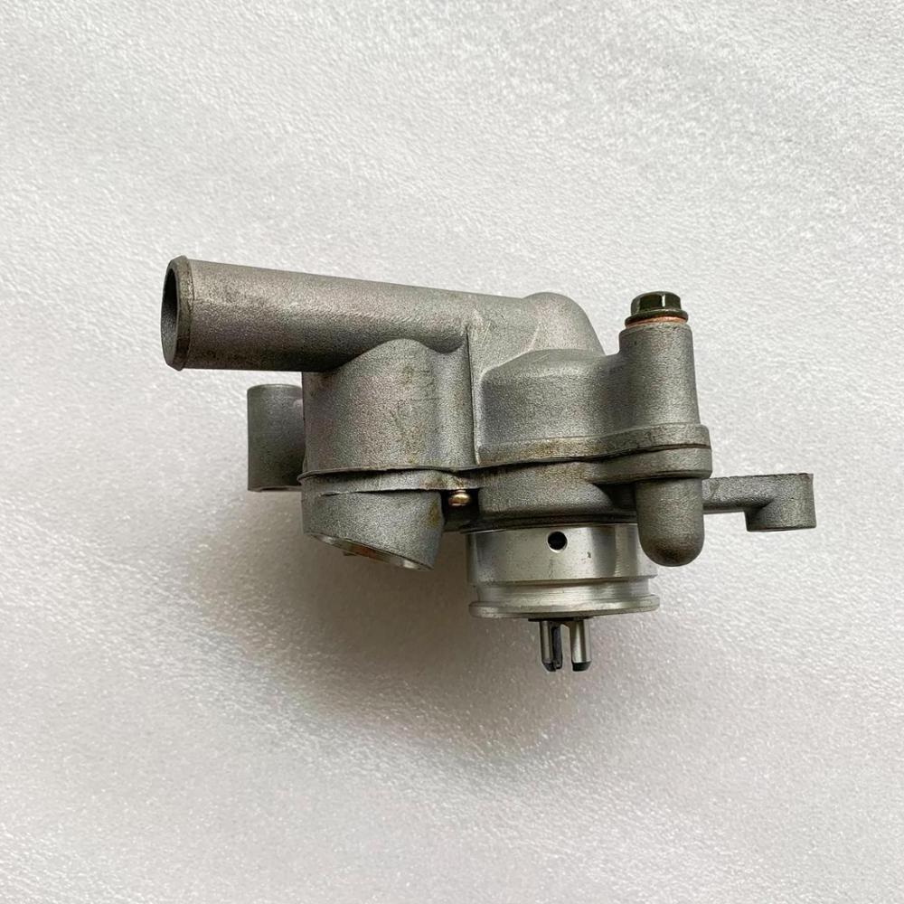 Water Pump for ATV300 UTV300 260 300cc Quad 300 Bu Yang Feishen LINHAI Buggy, Xinyang  Xingyue Go Kart Spare Parts.