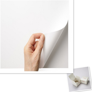 C2S coated paper matte and glossy chrome paper from Hangzhou Sinosea Paper