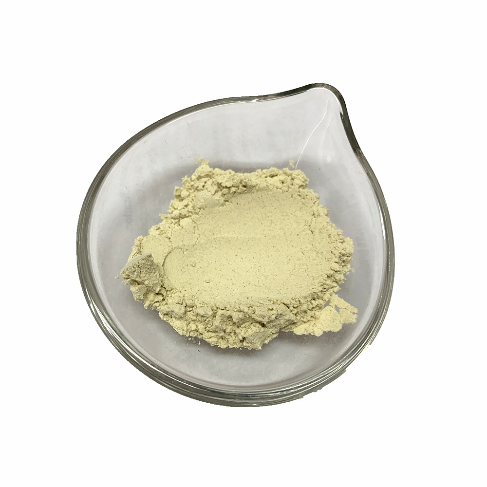 Organic vegetable Dehydrated Vegetable Japanese Wasabi Powder Horseradish Powder Dried Vegetables for snack food ingredients