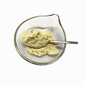 Organic vegetable Dehydrated Vegetable Japanese Wasabi Powder Horseradish Powder Dried Vegetables for snack food ingredients