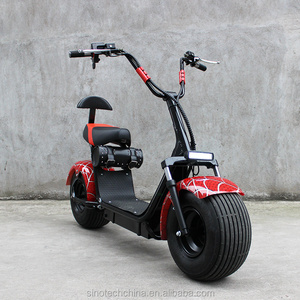 Factory direct sale citycoco 2 wheel electric scooter China manufacturer