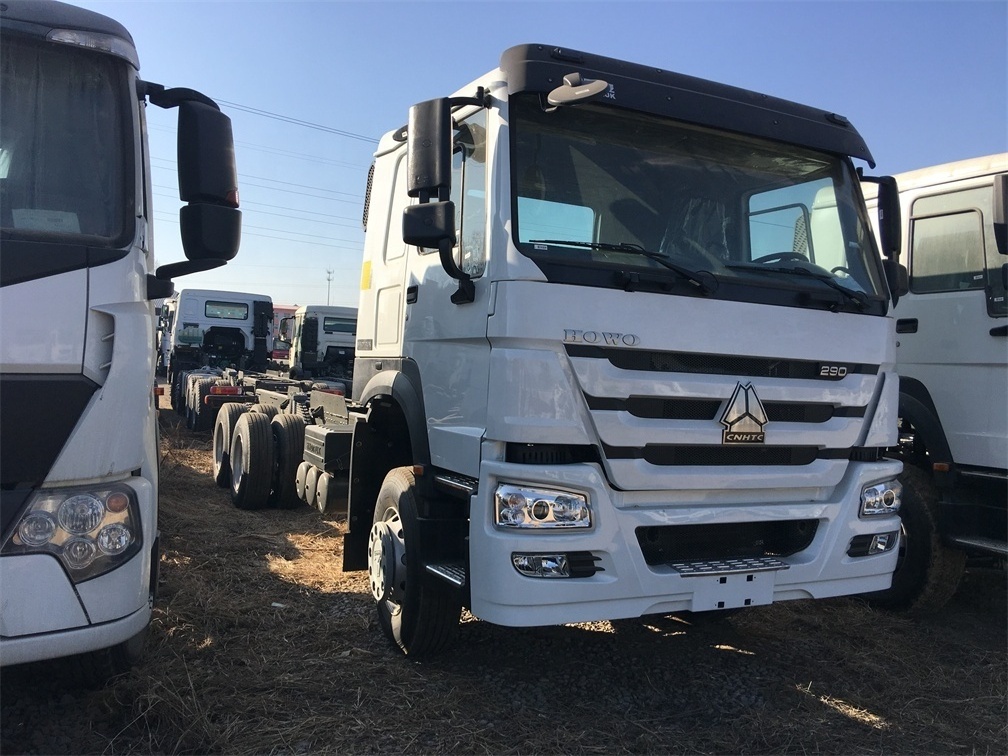 Sinotruck 8x4 30 Ton Cargo Truck Howo 12 Wheeler Heavy Duty Lorry