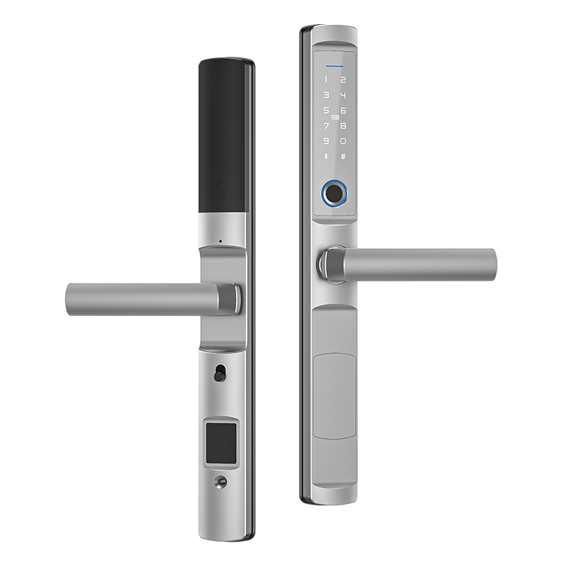 Waterproof Digital Biometric Handle Fingerprint Glass Door Ttlock APP Aluminum Sliding Smart Door Lock