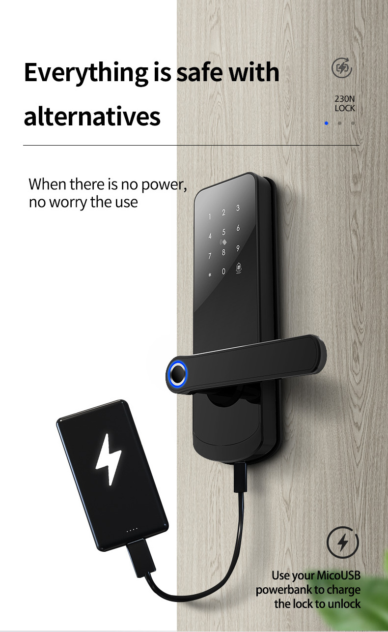 Gate Security Intelligent Z Wave Electronic Fingerprint Digital NFC Smart Door Locks