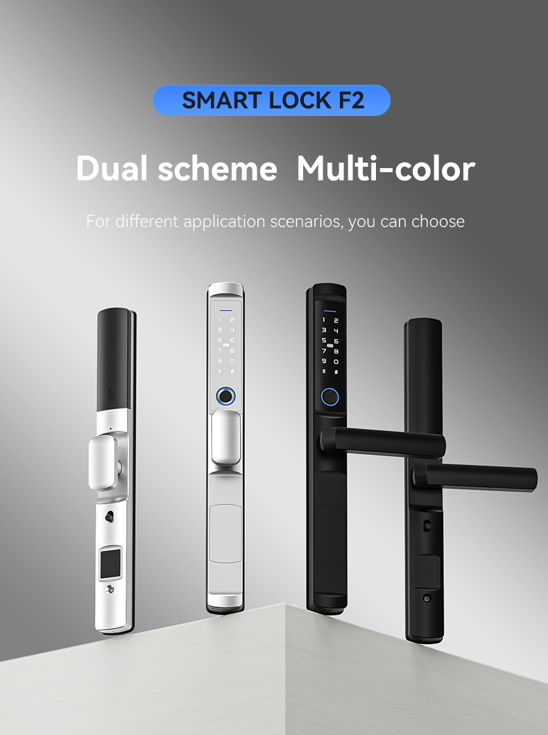 Safety APP WiFi Slim Aluminum Smart Lock Tuya TTLOCK Europe Cerradura Inteligente Digital Fingerprint Handle Sliding Doors Locks