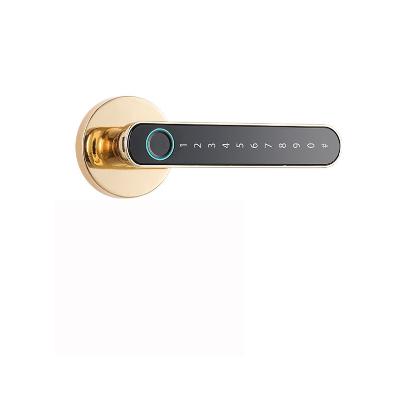 Tuya BLE Simplified Security Lever Keyless Biometric Fingerprint Sensor Passcode Keypad Door Handle Lock with Backup Key