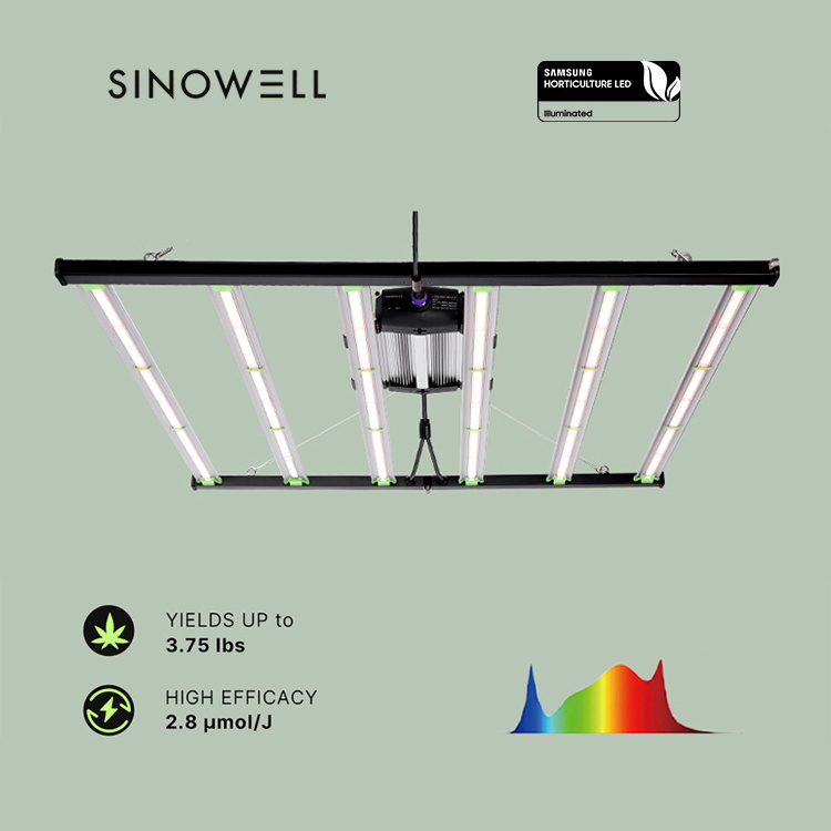 2023 Best Seller in TH US CA Sinowell 645W 800W High Umol Led Grow Light Greenhouse