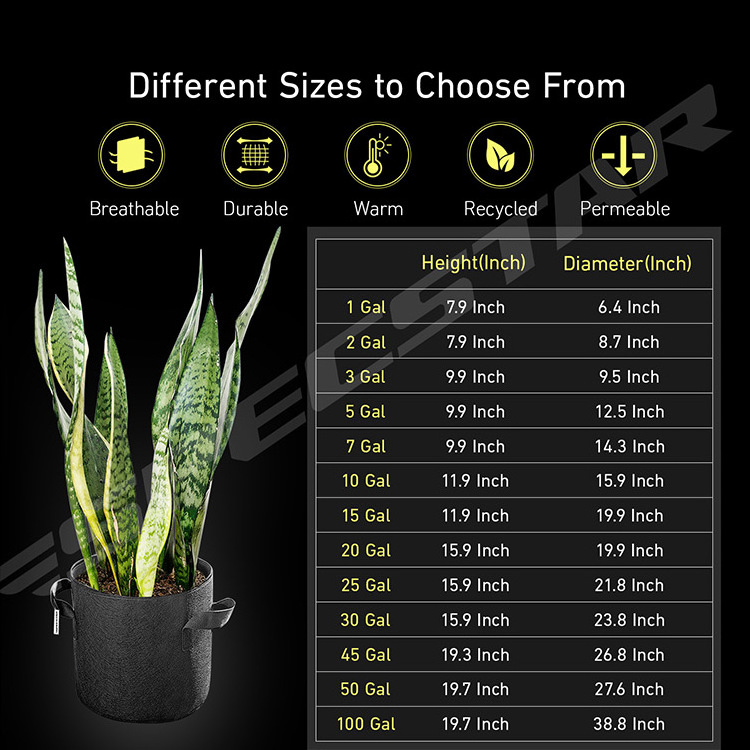 Factory Direct Supply 210G Fabric Grow Pots/Bags 1/3/5/10/15/20/25/50/100 Gallon for Planting