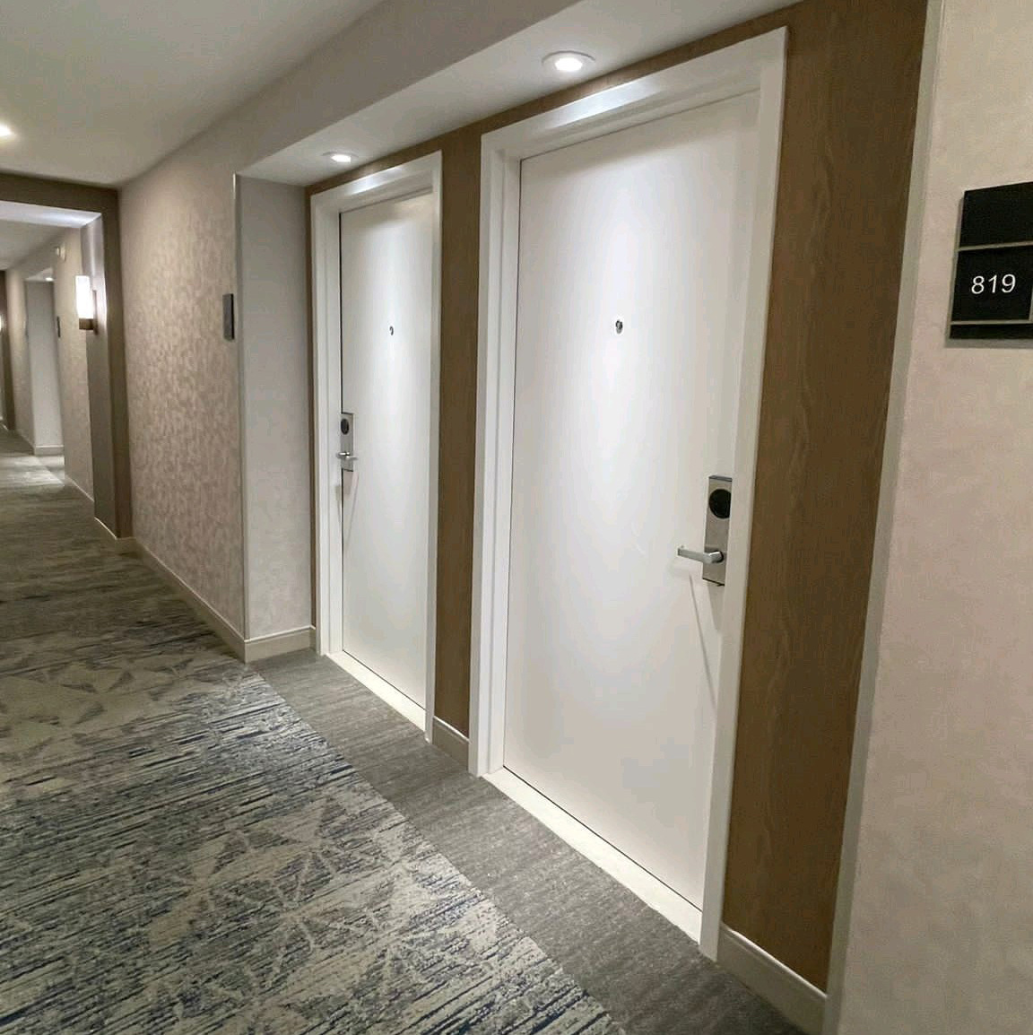 Hotel Project 20MIN/45MIN/60MIN/90MIN Fire Rated Guests  Entry Door Corridor Swing Door Flush Door With Fire Core