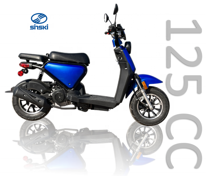 Hot selling products 49cc scooters scooter epa dot EEC Euro 4 for adult Motor Scooter Gas Moped 50cc